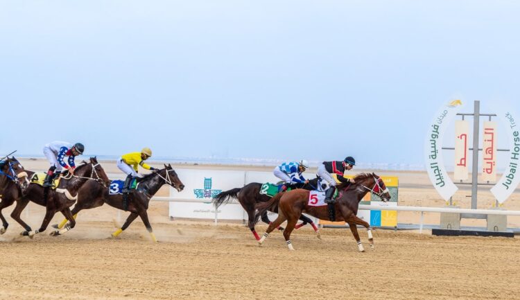 ميدان فروسية الجبيل يقيم سباقه السادس للموسم الحالي