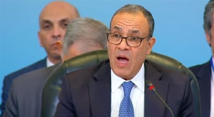 وزير الخارجية المصري: قدمنا نحو 70% من المساعدات الإغاثية لقطاع غزة
