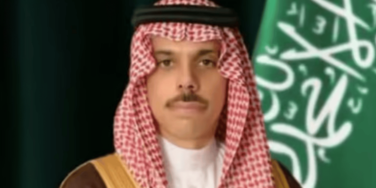 وزير الخارجية يبحث مع نظيره المصري مستجدات الأوضاع السورية
