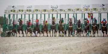 31 جواداً تتأهب للتأهل للمشاركة في أشواط أبطال الميادين بميدان الملك عبدالعزيز بالرياض