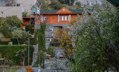 أزهار اللوز تُنعش السياحة البيئية في الباحة