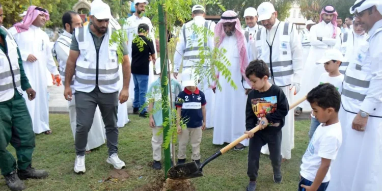 أمانة الشرقية ترصد جهودها في زيادة الغطاء النباتي للعام 2024