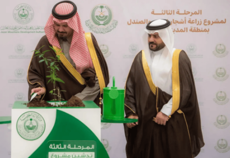 أمير المدينة المنورة يدشّن مشروع زراعة أشجار العود والصندل