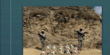 إحباط تهريب 600 كيلوجرام من القات المخدر  بمنطقة عسير