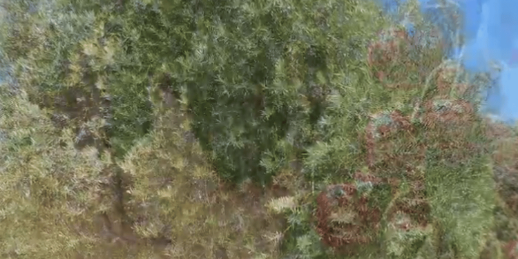 «الإرشاد الزراعي» توصي بزراعة أصناف متأخرة الإزهار لمقاومة أضرار الصقيع