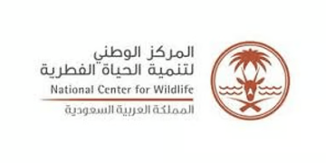 «الحياة الفطرية»: اكتشاف مومياوات الفهد الصياد دليل انتمائه لشبه الجزيرة العربية