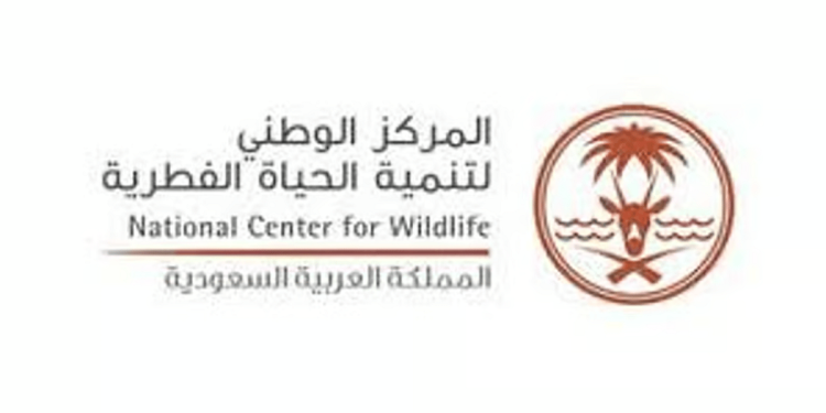 «الحياة الفطرية»: اكتشاف مومياوات الفهد الصياد دليل انتمائه لشبه الجزيرة العربية