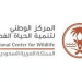 «الحياة الفطرية»: اكتشاف مومياوات الفهد الصياد دليل انتمائه لشبه الجزيرة العربية