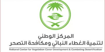 «الغطاء النباتي» يطرح فرصًا استثمارية لإعادة تدوير الحطب المسترد