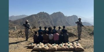 القبض على 13 مخالفًا بمنطقة جازان لتهريبهم 234 كلجم من نبات القات