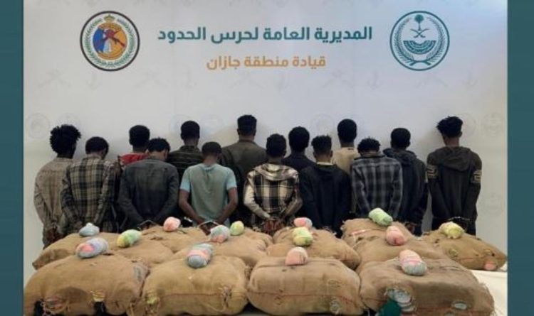 القبض على 14 مخالفًا بجازان لتهريبهم 252 كيلوجرامًا من نبات القات