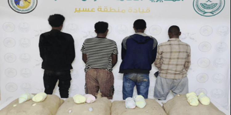 القبض على مخالفين لتهريبهما 80 كيلوجرامًا من  القات في عسير