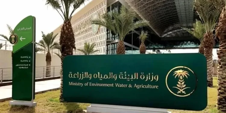 اللائحة التنفيذية لمقدمي الخدمات البيئية لنظام البيئة
