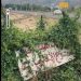 بالفيديو.. قبر على قارعة الطريق في عسير يثير الجدل والتساؤلات