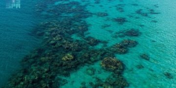 'جبل سيرين'.. لؤلؤة ساحل البحر الأحمر