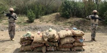 حرس الحدود بجازان يقبض على مخالفين لتهريبهما 59.8 كيلوجرامًا من الحشيش المخدر