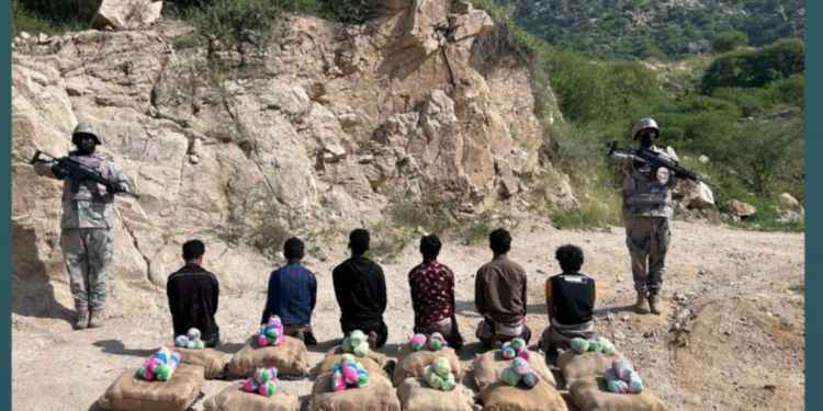 حرس الحدود بمنطقة جازان يقبض على 6 مخالفين لنظام أمن الحدود لتهريبهم 240 كيلوجرامًا من نبات القات المخدر