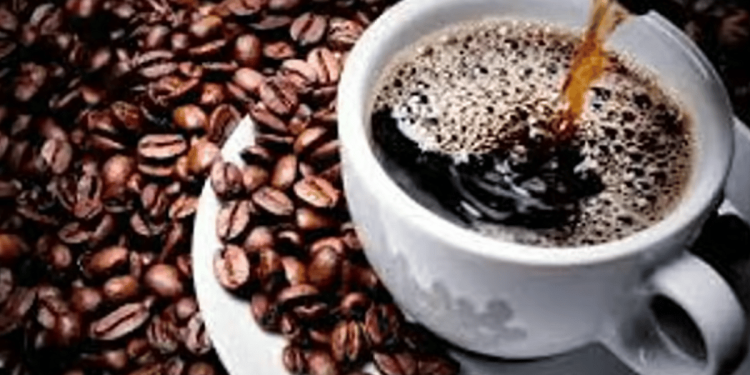 خبير بزراعة البن: القهوة إرث ثقافي للمملكة  