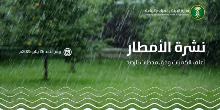 رصد هطول أمطار في 7 مناطق عبر 21 محطة.. و«الغيناء» تسجل أعلى كمية بـ 16.1 ملم