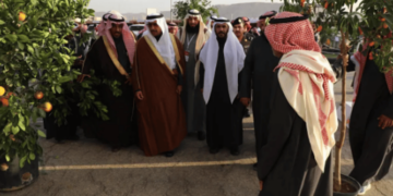 محافظ الحريق يفتتح مهرجان الحمضيات التاسع بمشاركة أكثر من 180 عارضًا