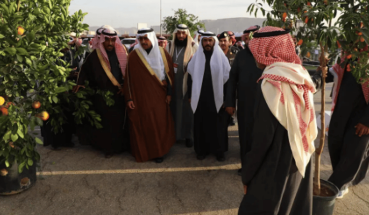 محافظ الحريق يفتتح مهرجان الحمضيات التاسع بمشاركة أكثر من 180 عارضًا
