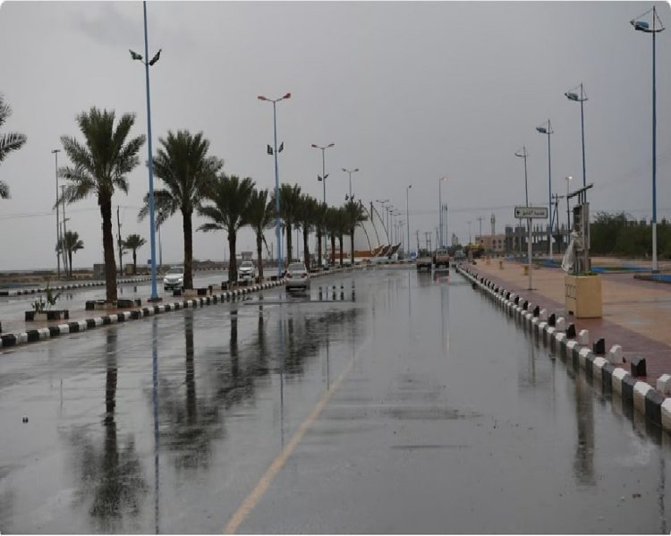 محلل طقس: انخفاض درجات الحرارة خلال الأسبوع المقبل.. وأجواء ربيعية في رمضان