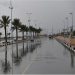 محلل طقس: انخفاض درجات الحرارة خلال الأسبوع المقبل.. وأجواء ربيعية في رمضان