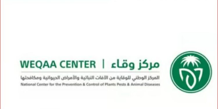 مركز وقاء بمكة المكرمة يكثف جهوده لمكافحة نواقل الأمراض عقب الحالة المطرية