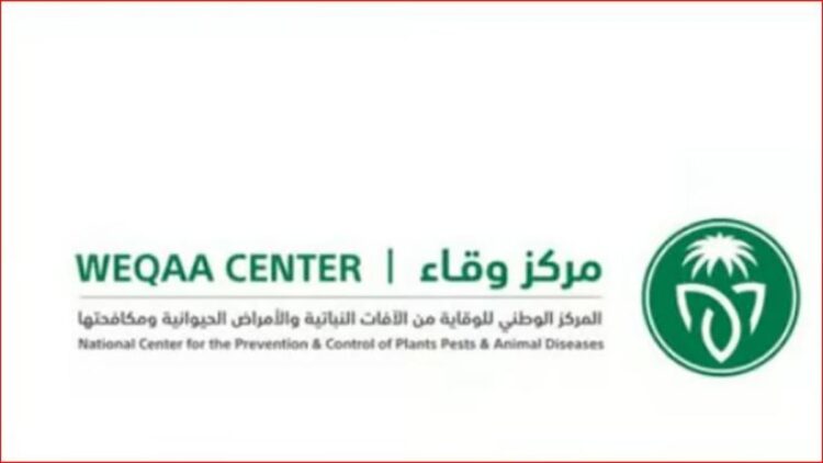 مركز وقاء بمكة المكرمة يكثف جهوده لمكافحة نواقل الأمراض عقب الحالة المطرية