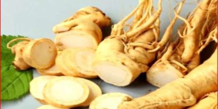 مسؤول بـ«الغذاء والدواء»: ينبغي استشارة الطبيب قبل استخدام أي مستحضر عشبي