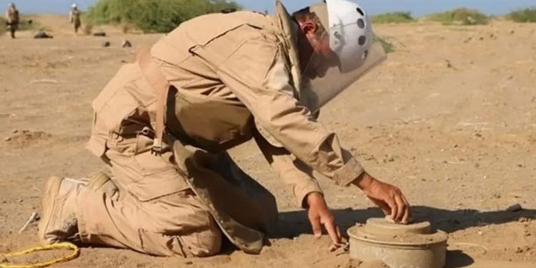 مشروع "مسام" ينتزع 732 لغمًا من الأراضي اليمنية خلال أسبوع
