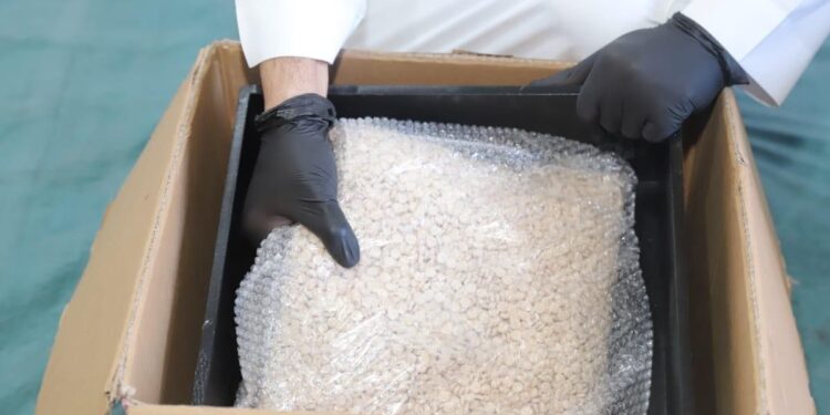 “مكافحة المخدرات” تحبط محاولة تهريب أكثر من 1.9 مليون قرص من مادة الإمفيتامين المخدر بمحافظة جدة