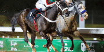 نادي سباقات الخيل يختتم مهرجان كؤوس الملوك والأمراء بنسخته العاشرة