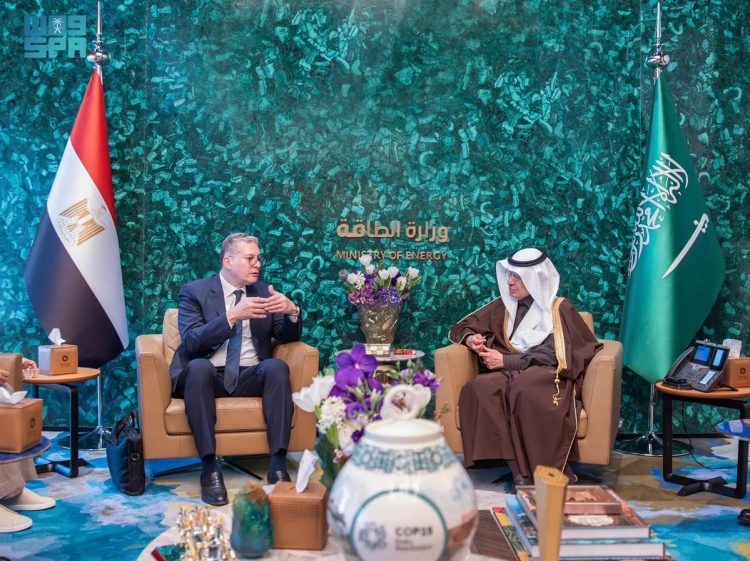 وزير الطاقة يبحث تعزيز التعاون مع نظرائه في مصر والعراق وليبيا