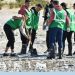تزامنًا مع اليوم العالمي للأراضي الرطبة.. متطوعون يزرعون 10 آلاف شتلة مانجروف