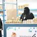 مهرجان عسل جازان.. منصة للإبداع وتمكين الأسر المنتجة