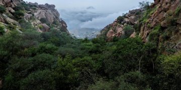 «السحب المنخفضة» ظاهرة بصرية ترسم الجمال في جبل شدا الأعلى