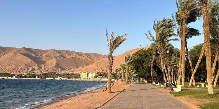 «متنزه النخيل» بحقل.. واحة غناء بإطلالات ساحرة