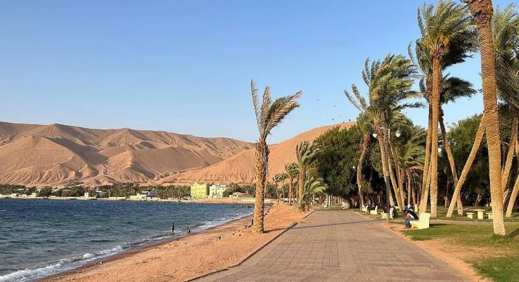 «متنزه النخيل» بحقل.. واحة غناء بإطلالات ساحرة