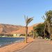 «متنزه النخيل» بحقل.. واحة غناء بإطلالات ساحرة