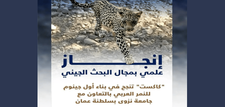 "كاكست" تنجح في بناء أول جينوم للنمر العربي المهدد بالانقراض في المملكة