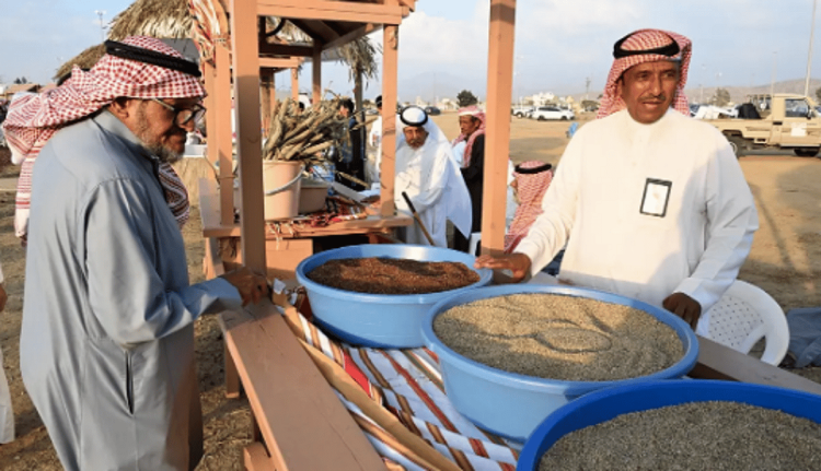 اختتام فعاليات مهرجان الدخن الثاني بمحافظة بارق
