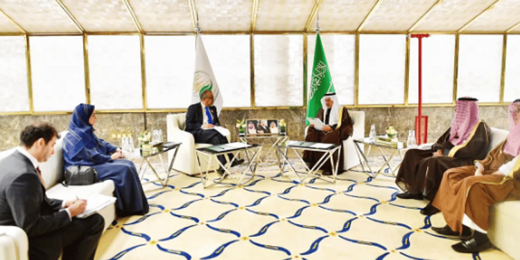الدكتور عبدالله الربيعة ومدير منظمة الصحة العالمية يبحثان آلية إيصال المساعدات الطبية