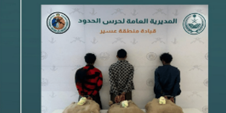 القبض على 3 مخالفين لتهريبهم 66 كيلوجرامًا من القات المخدر بعسير