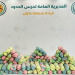 حرس الحدود بجازان يحبط تهريب 108 كيلوجرامات من القات