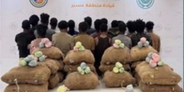 حرس الحدود بعسير يقبض على 22 مخالفًا لتهريبهم 330 كيلوجرامًا من القات المخدر