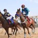 ميدان فروسية المدينة يقيم سباقه الحادي عشر للموسم الرياضي 1446هـ