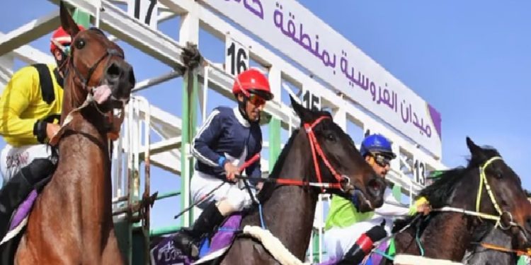 ميدان فروسية حائل يقيم حفل سباقه الحادي عشر لموسم 2025