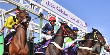 ميدان فروسية حائل ينظم اليوم حفل سباقه الثاني عشر