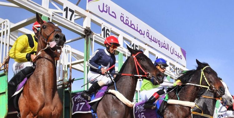 ميدان فروسية حائل ينظم اليوم حفل سباقه الثاني عشر